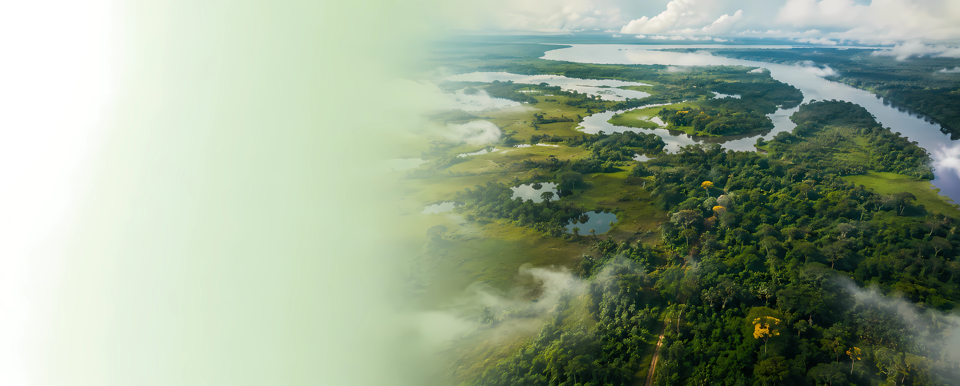 Consulta global proyecto REDD+ en Vichada, Colombia